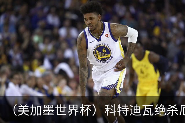 （美加墨世界杯）科特迪瓦绝杀厄瓜多尔 瑞典5:1大胜突尼斯
